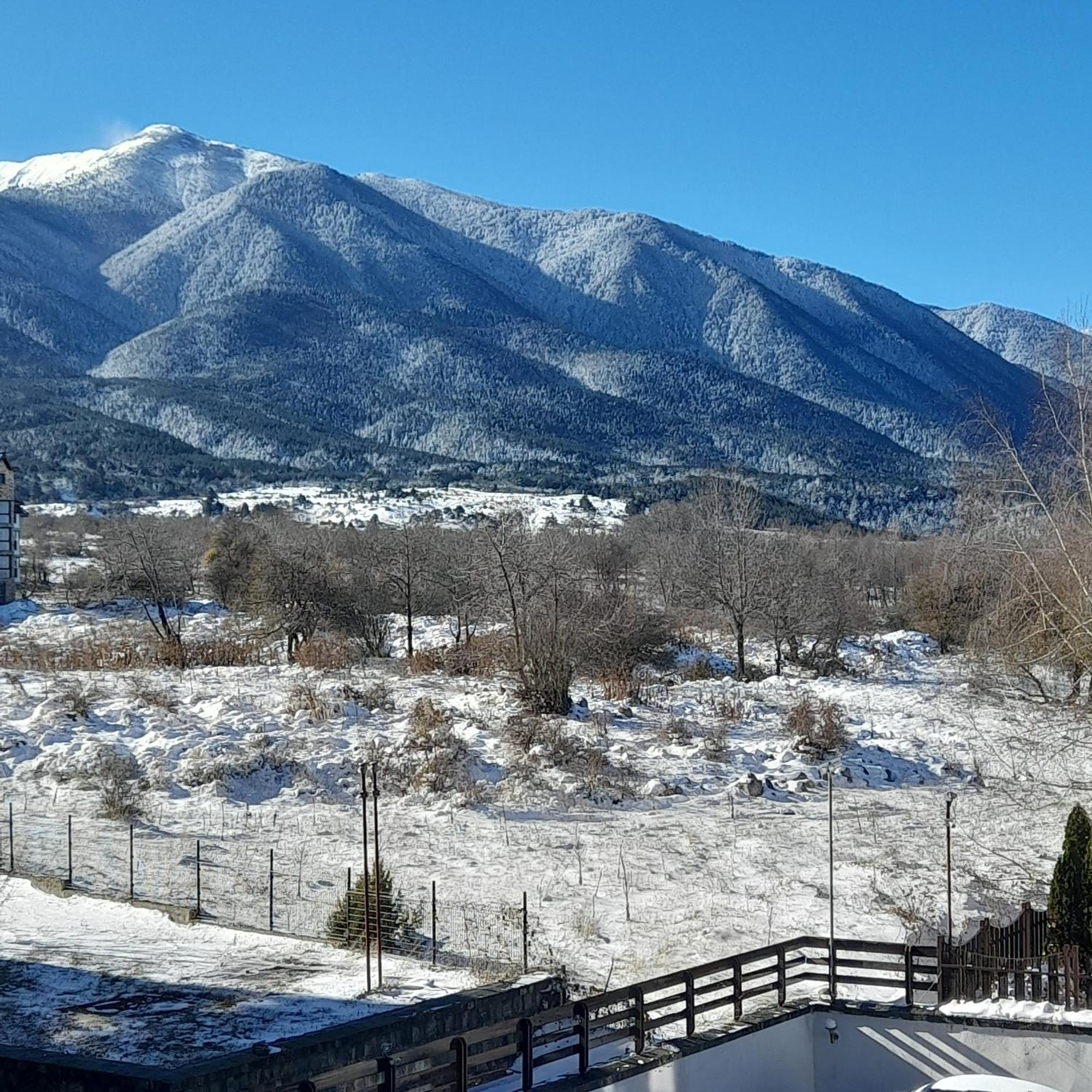 Lux Apartament L201 Bansko Eksteriør billede